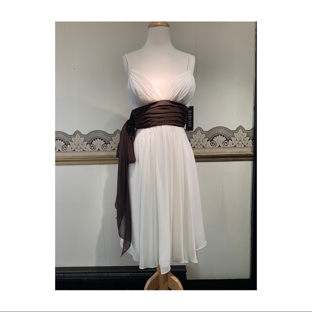 Bari Jay Ivory Dress